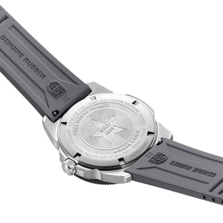 Pacific Diver, Online Exclusive, 39 mm, Taucheruhr - CA22M, Gehäuseboden
